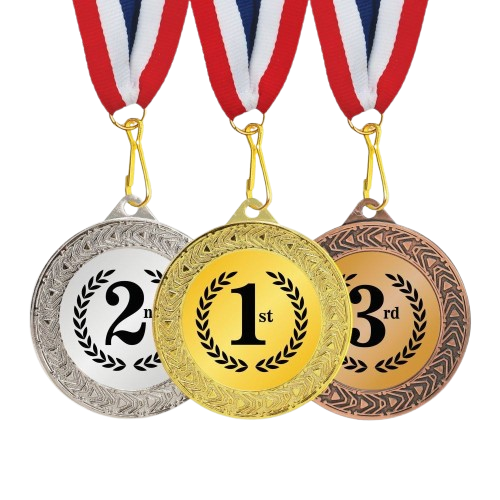 Achievement and excellence medal icon